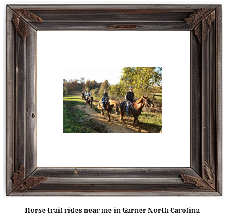 horse trail rides near me in Garner, North Carolina